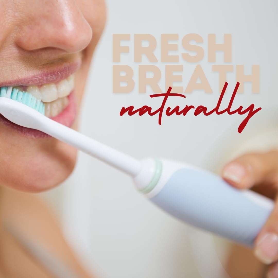 Red Seal Propolis Herbal & Mineral Natural Toothpaste - Fluoride Free, Organic, NATRUE Certified Natural- Supports Natural Gum Health and Oral Hygiene, Prevents Plaque, Vegan, Cruelty-Free (2)