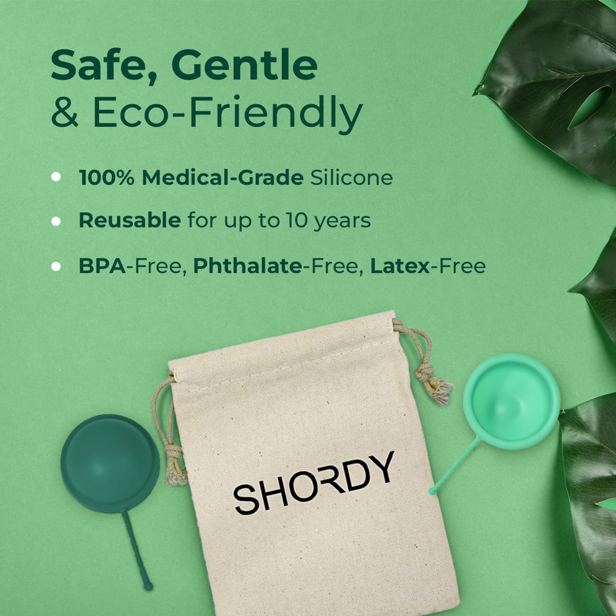 Shordy Reusable Menstrual Disc with Sterilizer – Small & Large Period Discs with Steamer & Cleaner – Starter Kit for Light to Heavy Flow, Feminine Care Alternative to Tampons, Cups & Pads