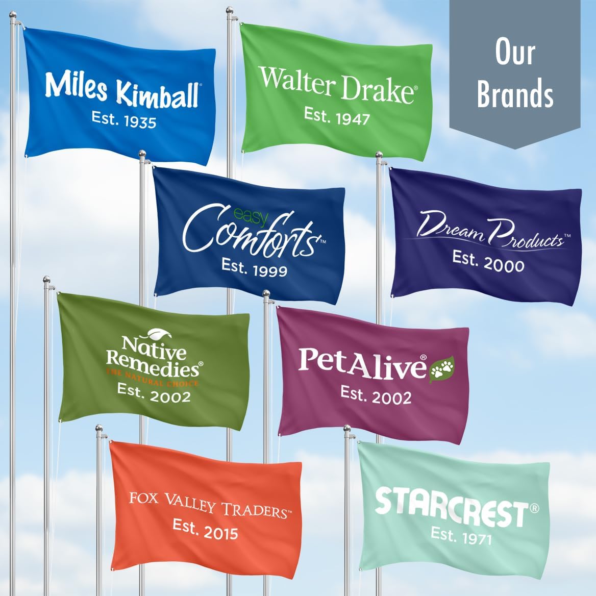 Easy Comforts 14 Day Pill Holder, Travel Case Medication Reminder Pill Box with Detachable Compartments, Lilac