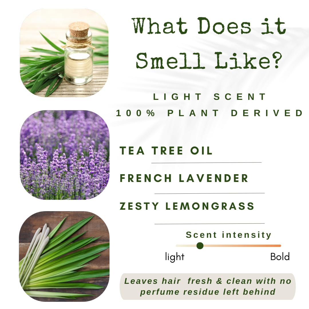 Shampoo Bar and Conditioner with Travel Tins | Lemongrass, Lavender, Tea Tree Oil | Clarifying & Growth | For Oily Hair | USA 2-pk