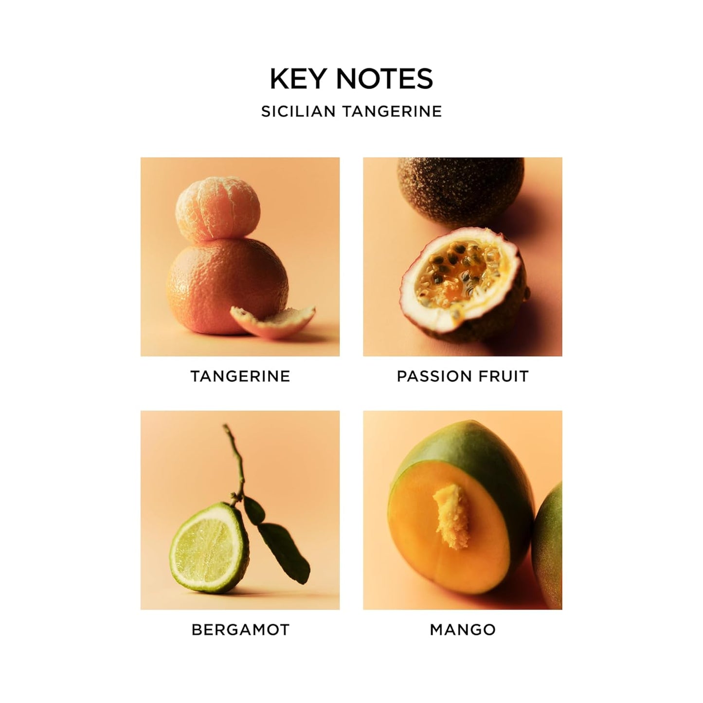 NEST New York Liquid Soap, Sicilian Tangerine - 10 fl oz - Cleanses & Nourishes Skin - Approx. 300 Pumps Per Bottle - Gluten Free & Cruelty Free