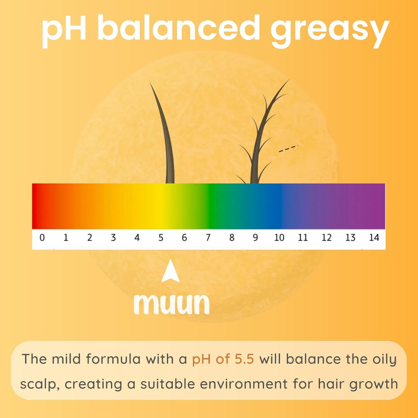 Muun Ginger Shampoo and Conditioner Bar Pack 3 - Hair Growth & Regrowth, Anti Hair Loss, Strengthen & Volumize, pH Balanced - Sulfate & Silicone Free For All Hair Type - Solid Soap for Travel