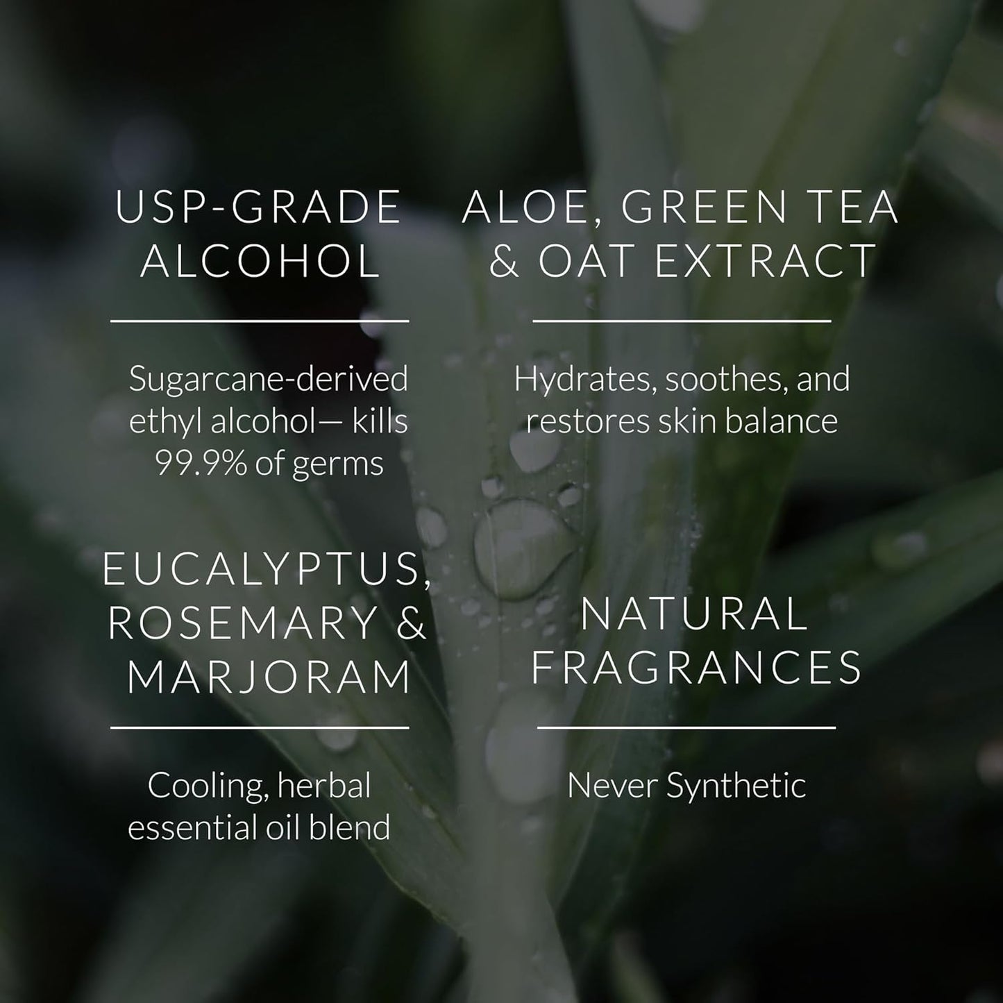 Noshinku Eucalyptus Hand Sanitizer Wipes, 6-Pack (90 Towelettes) – Resealable Travel Wipes with Ethyl Alcohol, Aloe & Green Tea, Plant-Based Fiber, Essential Oil Scents, Cruelty-Free & No Dyes