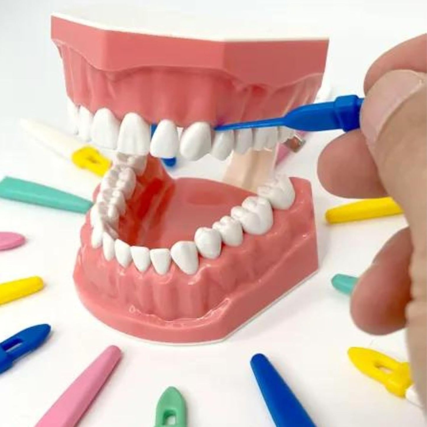 Original Perma Pic Reusable Toothpicks (12-Pack) - Flossing Alternative, Portable & Travel-Ready, Easy Clean, Durable Picks for Oral Hygiene on-The-Go