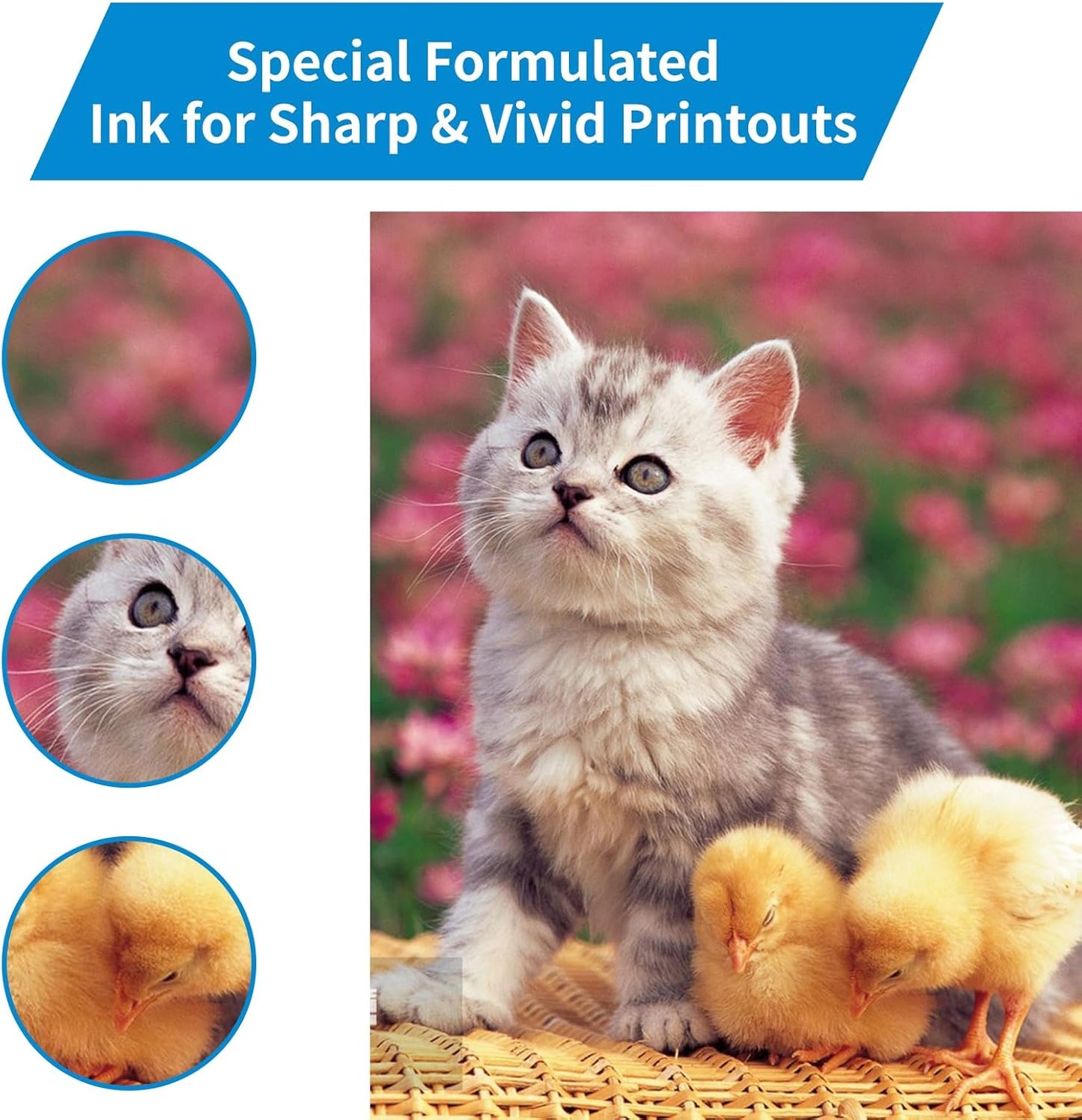 T552 Refill Ink Bottles Compatible with Epsn 552 Ink Refill Bottles Use for EcoTank Photo ET-8550 ET-8500 Printer(PB C M Y GY BK 6 Color Cyan/Magenta/Yellow/Photo Black/Gray Ink Bottles