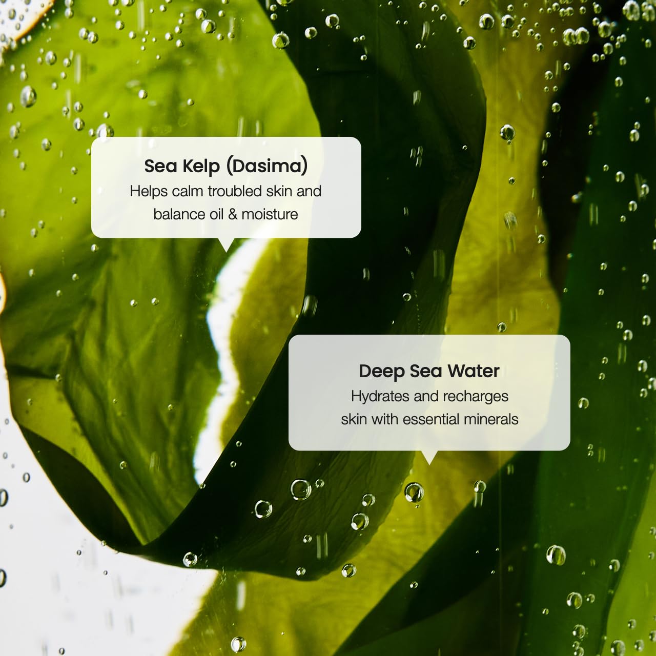 BIODANCE Refreshing Sea Kelp Serum, Oil & Sebum Control, Calming Serum for Oily & Combination Skin, Korean Skincare, Stocking Stuffers for Teen Girls | 1.01 fl.oz x 1 ea