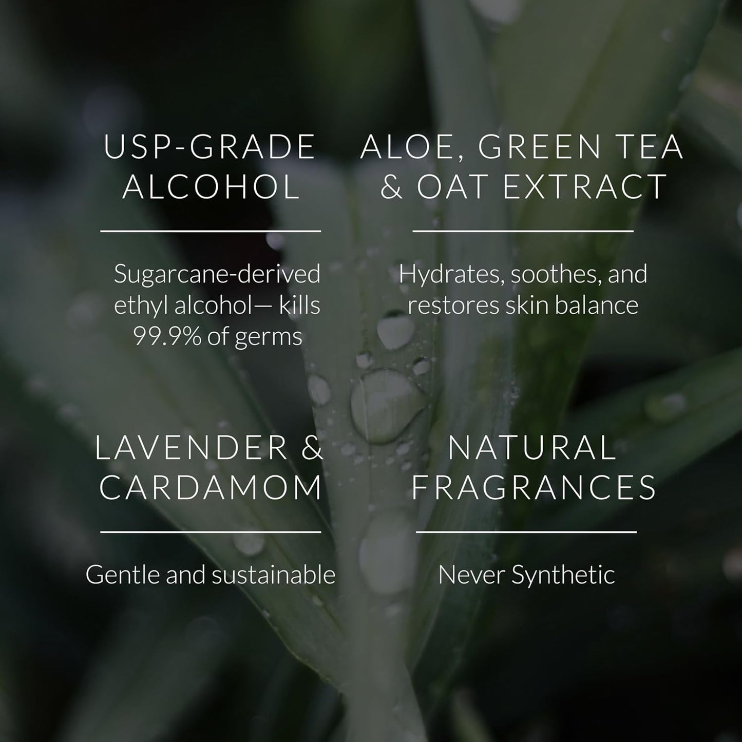 Noshinku Discovery Hand Sanitizer Wipes, 3-Pack (45 Towelettes) – Resealable Travel Wipes with Ethyl Alcohol, Aloe & Green Tea, Plant-Based Fiber, Essential Oil Scents, Cruelty-Free & No Dyes