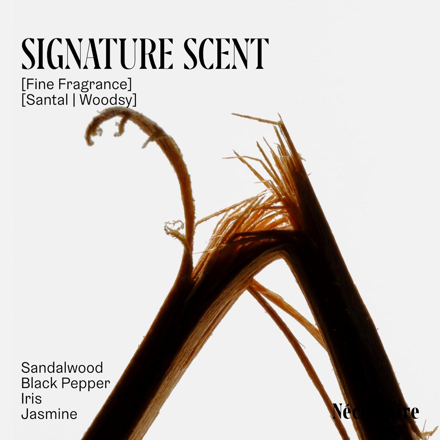 Nécessaire The Deodorant Santal | Aluminum Free Deodorant For Women & Men. Extra Strength Treatment with Mandelic Acid. Free of Baking Soda, Ozokerite & Silicones (75 g/2.5 oz)