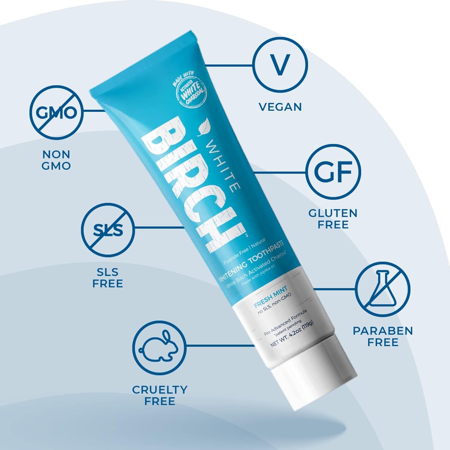 White Birch Activated Charcoal Toothpaste - Professional Teeth Whitening - Natural, No Fluoride Oral Care