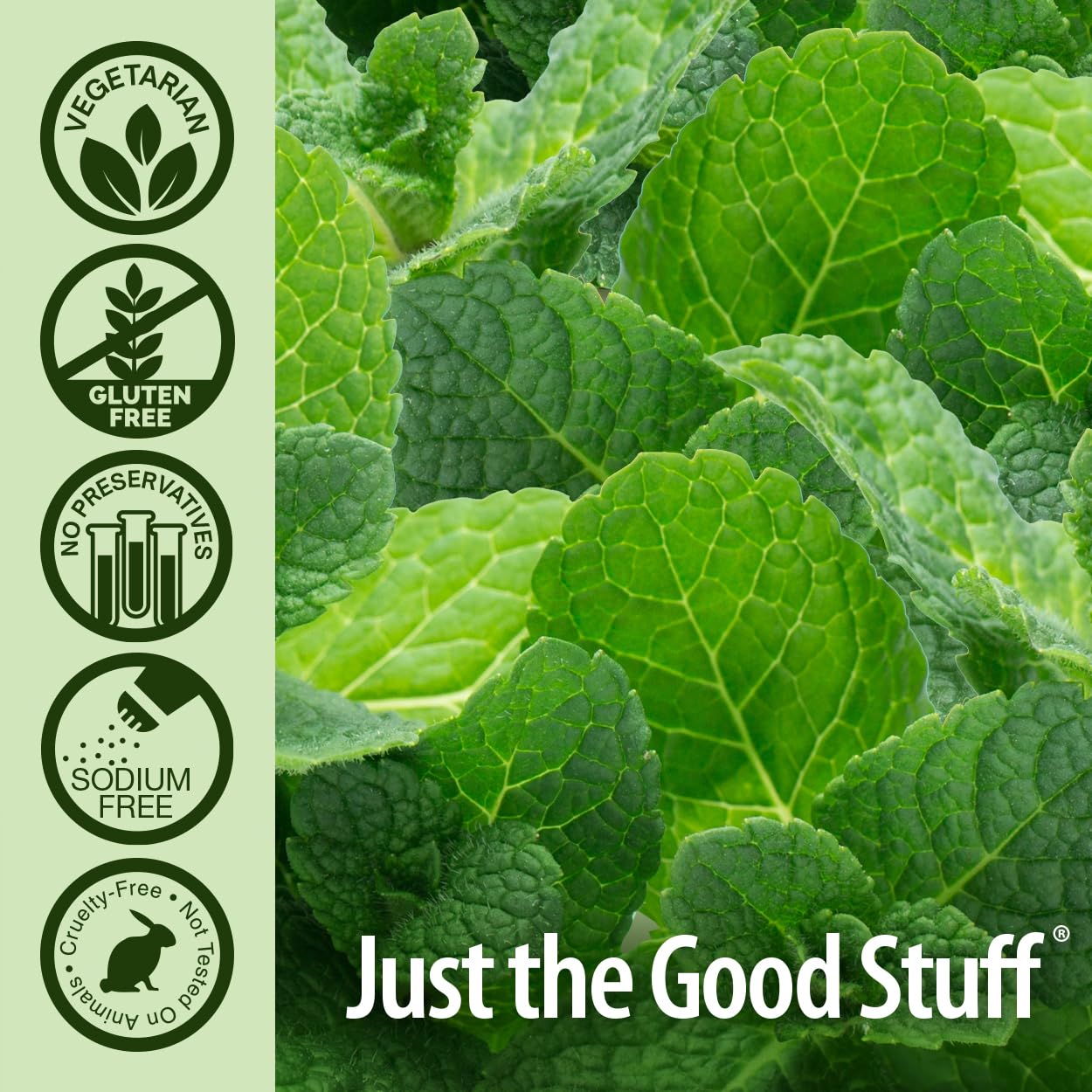 Nature's Answer Periobrite Alcohol-Free Mouthwash, Wintermint, 16 Ounce (2 Pack) | Fluoride Free | Natural Breath Freshener | Stain Remover | Natural Teeth Whitener