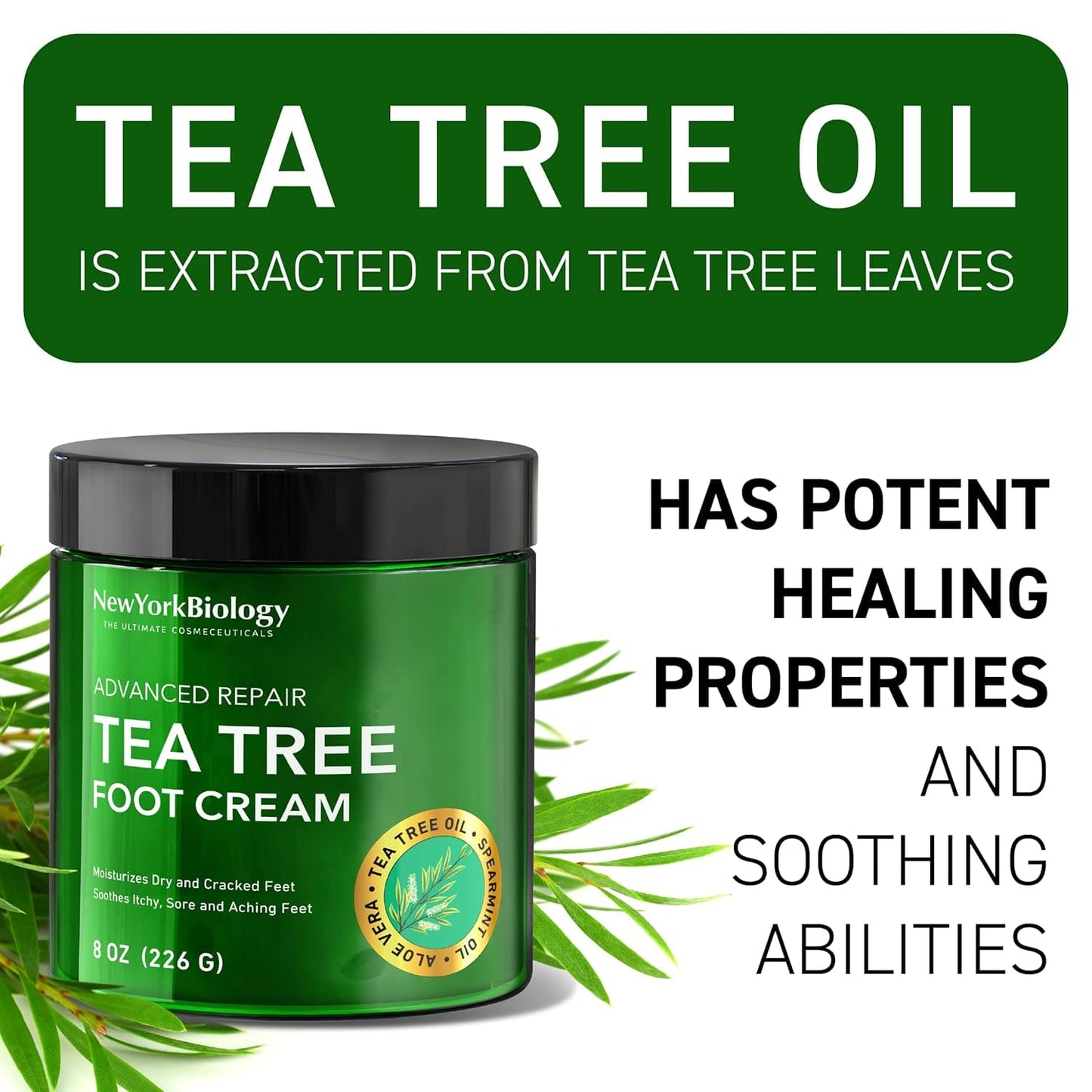 New York Biology Tea Tree Oil Foot Cream for Dry Cracked Feet, Athletes Foot, Nail Fungus, Jock Itch, Ringworm, Cracked Heels and Itchy Skin - Foot Cream - 8 oz - Pack of 2