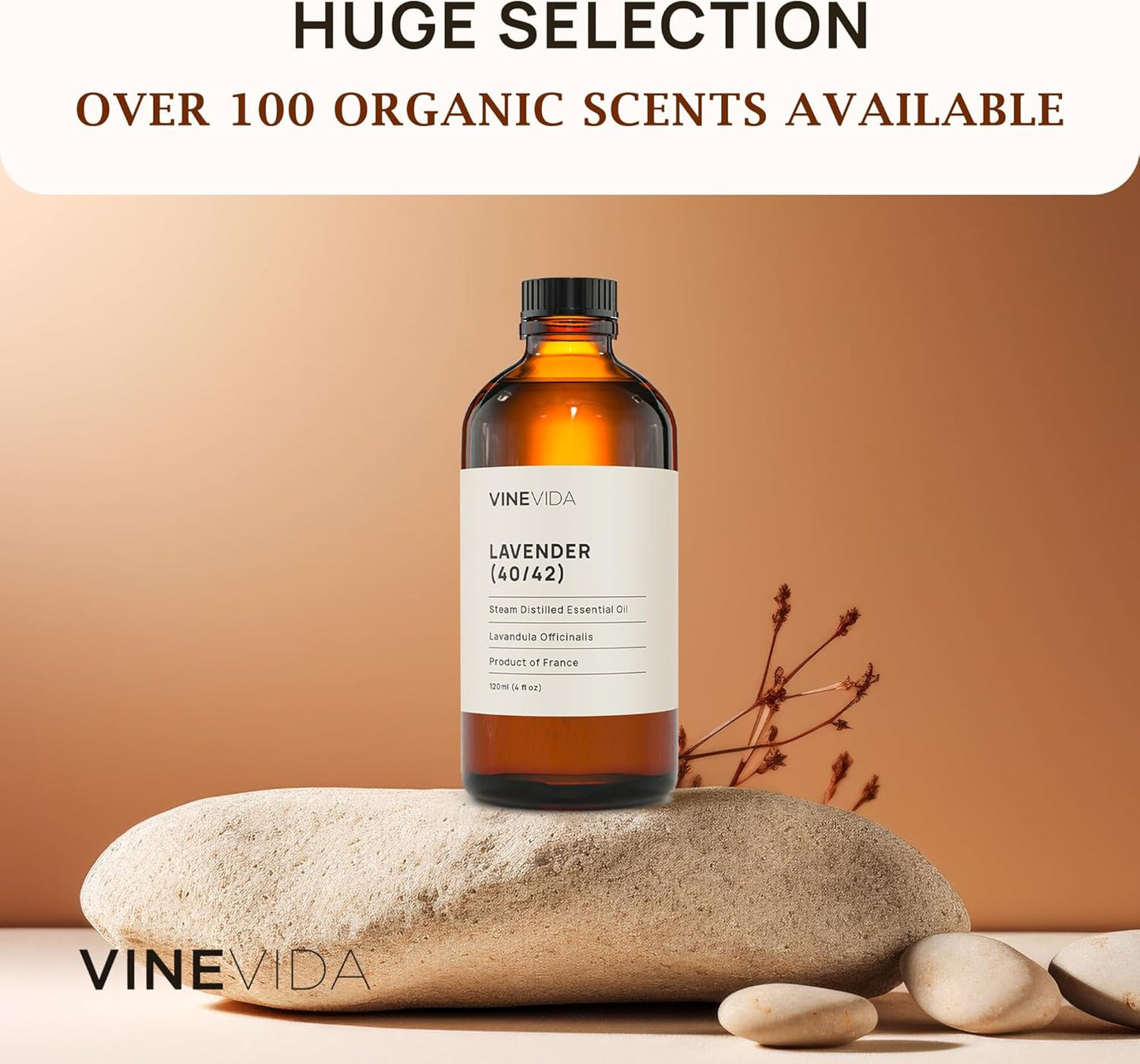 VINEVIDA Lavender 40/42 Undiluted Essential Oil 4 oz