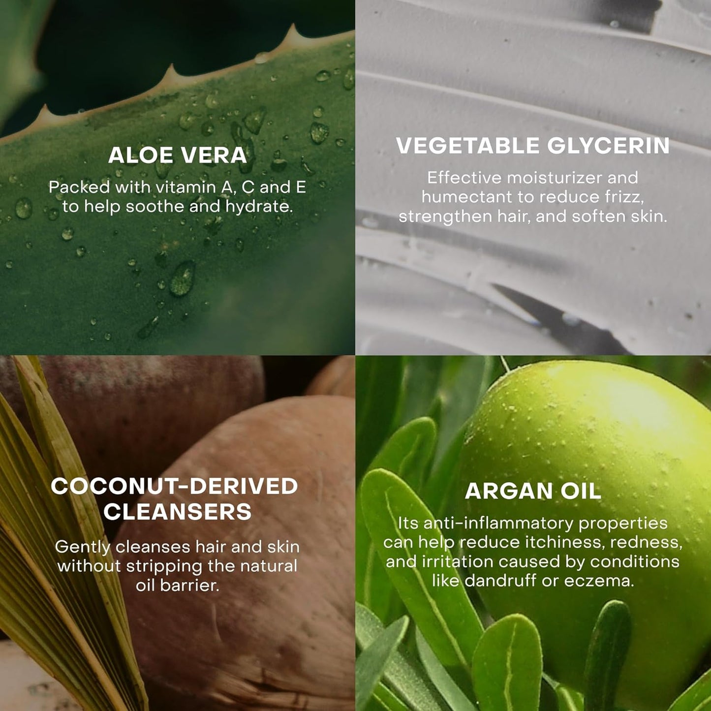 Everist The Fragrance-Free Shampoo Concentrate, Cleansing, Hydrating and Soothing for All Hair Types, Sensitive Skin, Gentle On All Scalps, Plant-based, Aloe Vera, 3.4 fl oz, 50+ Washes, TIN