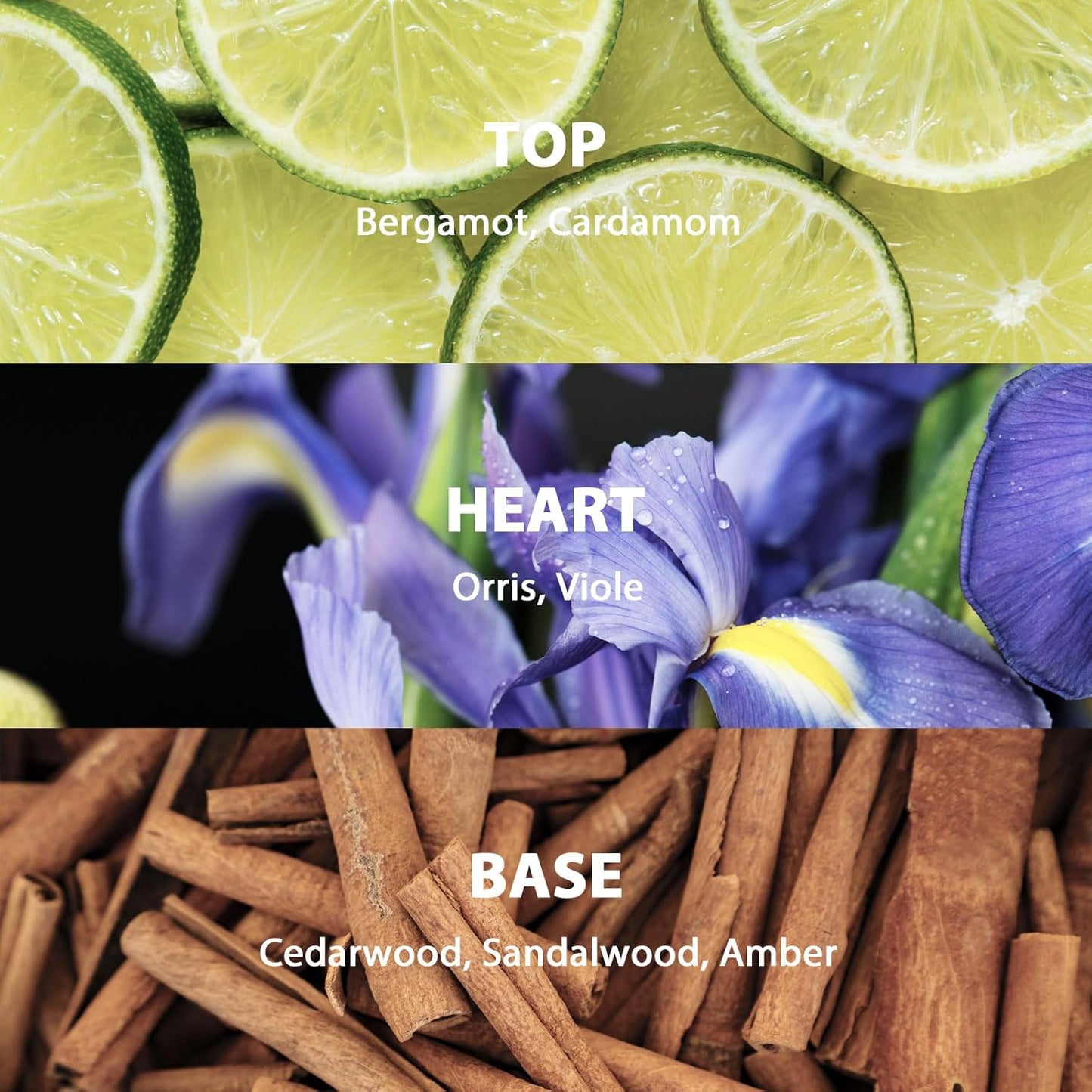 Reed Diffuser Set, 3.52 oz (100ml) Scented Diffuser with Sticks Home Fragrance Reed Diffuser for Bathroom Shelf Decor, Ideal Gift for Woman (Sandalwood Amber)