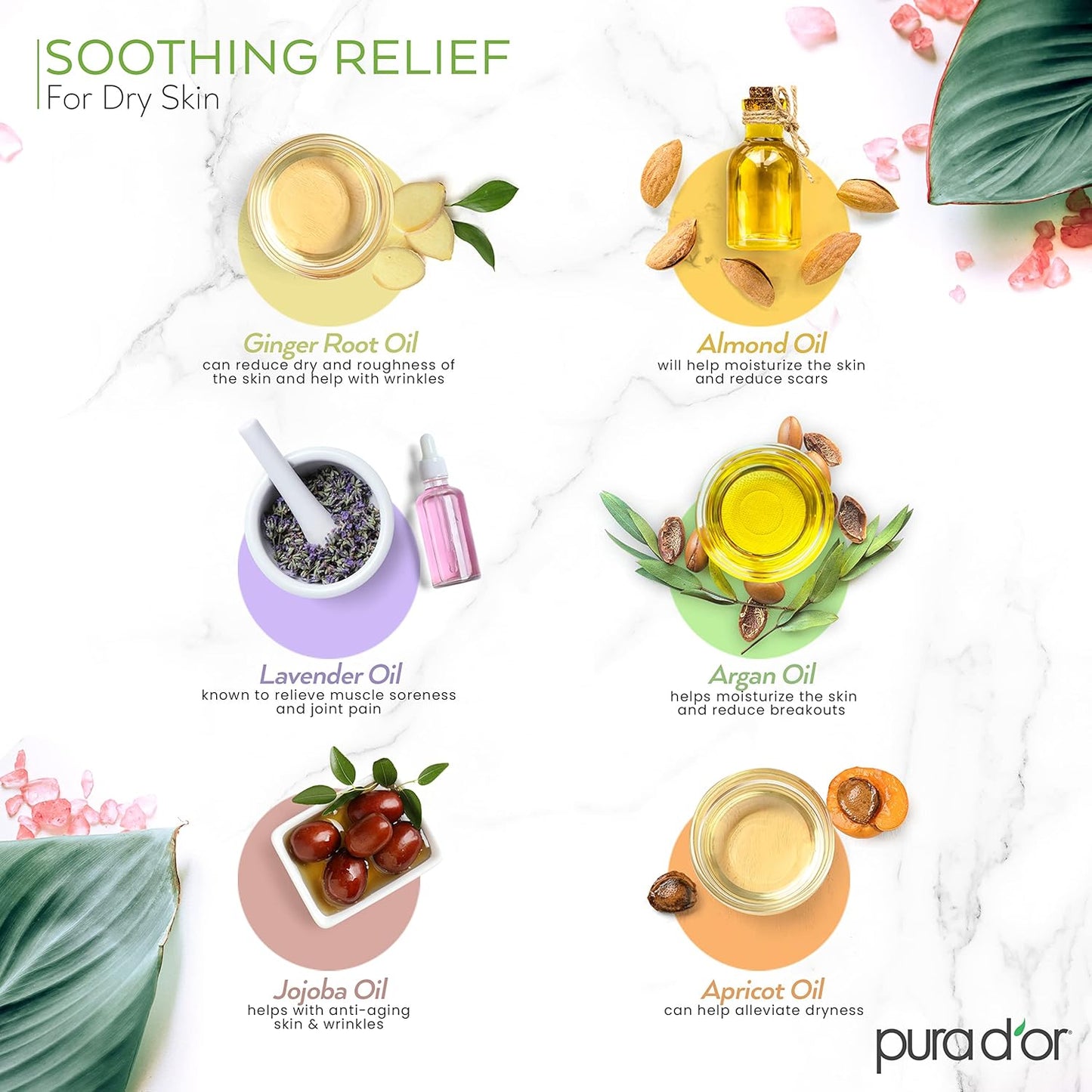 PURA D'OR 16 Oz Organic Massage Therapy Oil USDA Certified Almond, Apricot, Argan, Ginger, Jojoba, Lavender Oils for Silky & Softer Skin, Body Moisturizer & Skin Lubricant