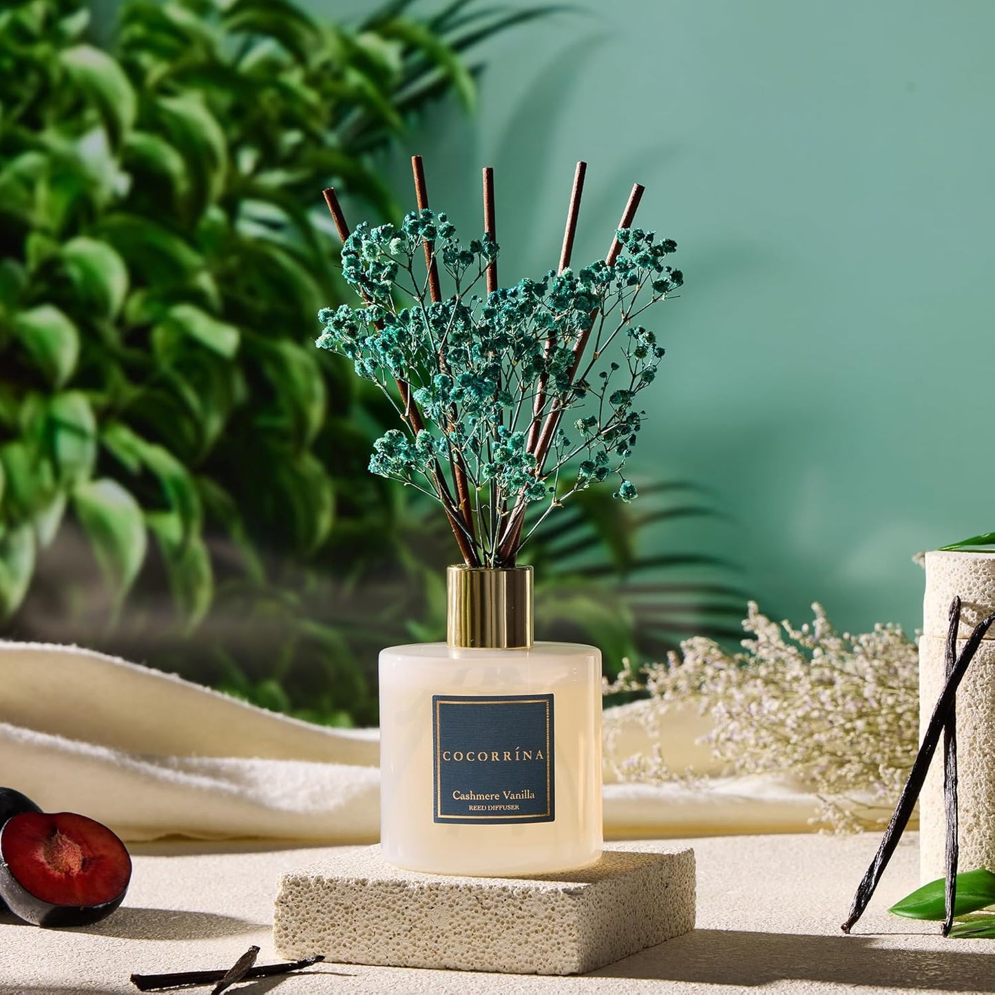 COCORRÍNA Reed Diffuser - Cashmere Vanilla 17 Fl.oz Reed Diffuser with 8 Sticks Scented Diffuser with Preserved Flowers for Bathroom Home Decor
