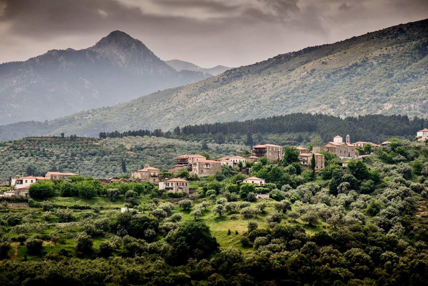 Ancient Foods Keros Greek Organic Extra Virgin Olive Oil – Cold Pressed Olive Oil from Greece, High Phenolic Organic Olive Oil from 1000 Year Old Trees (101oz, 3L)