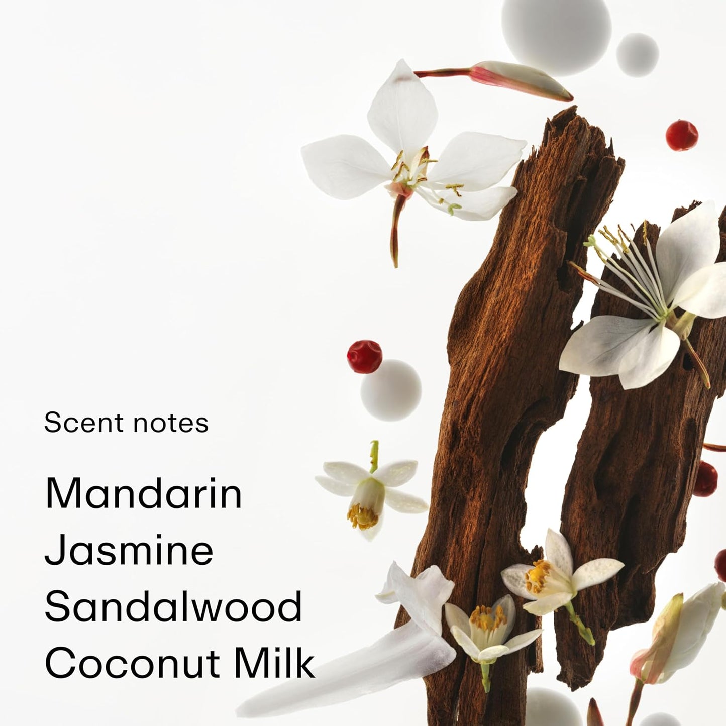 PHLUR Golden Rule Eau de Parfum - Full Size Perfume for Women & Men Fragrance - Fruity Floral Perfume with Mandarin, Pink Pepper, Pear, Jasmine, Coconut Milk, Sandalwood & Vanilla Cream (50mL)