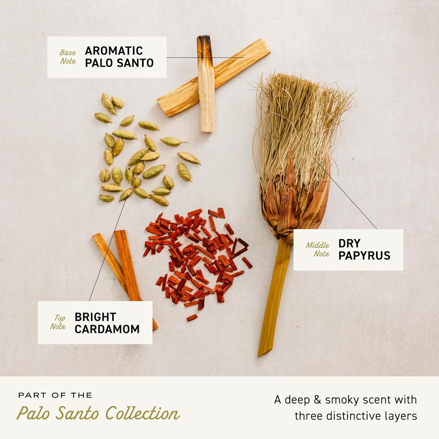 Cremo Rich-Lathering Palo Santo Body Wash for Men, Notes of Bright Cardamom, Dry Papyrus and Aromatic Palo Santo, 32 Fl Oz