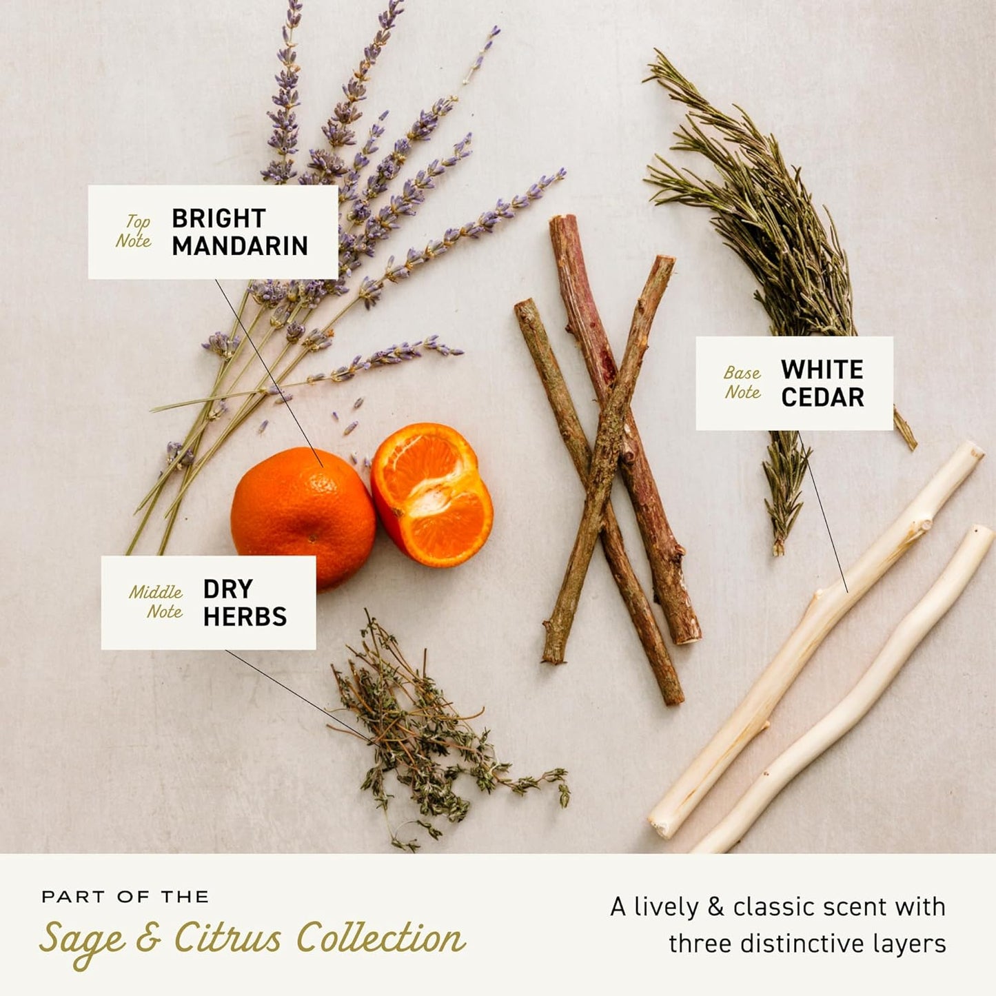 Cremo Sage & Citrus Shave Cream, Astonishingly Superior Ultra-Slick Shaving Cream for Men, Fights Nicks, Cuts and Razor Burn, 6 Fl Oz