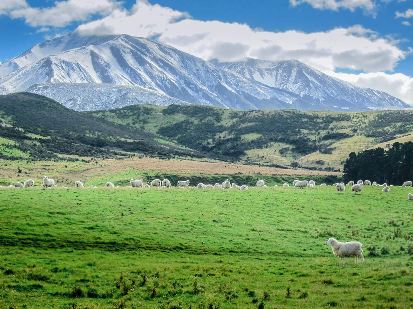 Antler Farms - 100% Pure New Zealand Lanolin, 100g, Skin Moisturizer and Protectant, Refined USP Grade Balm