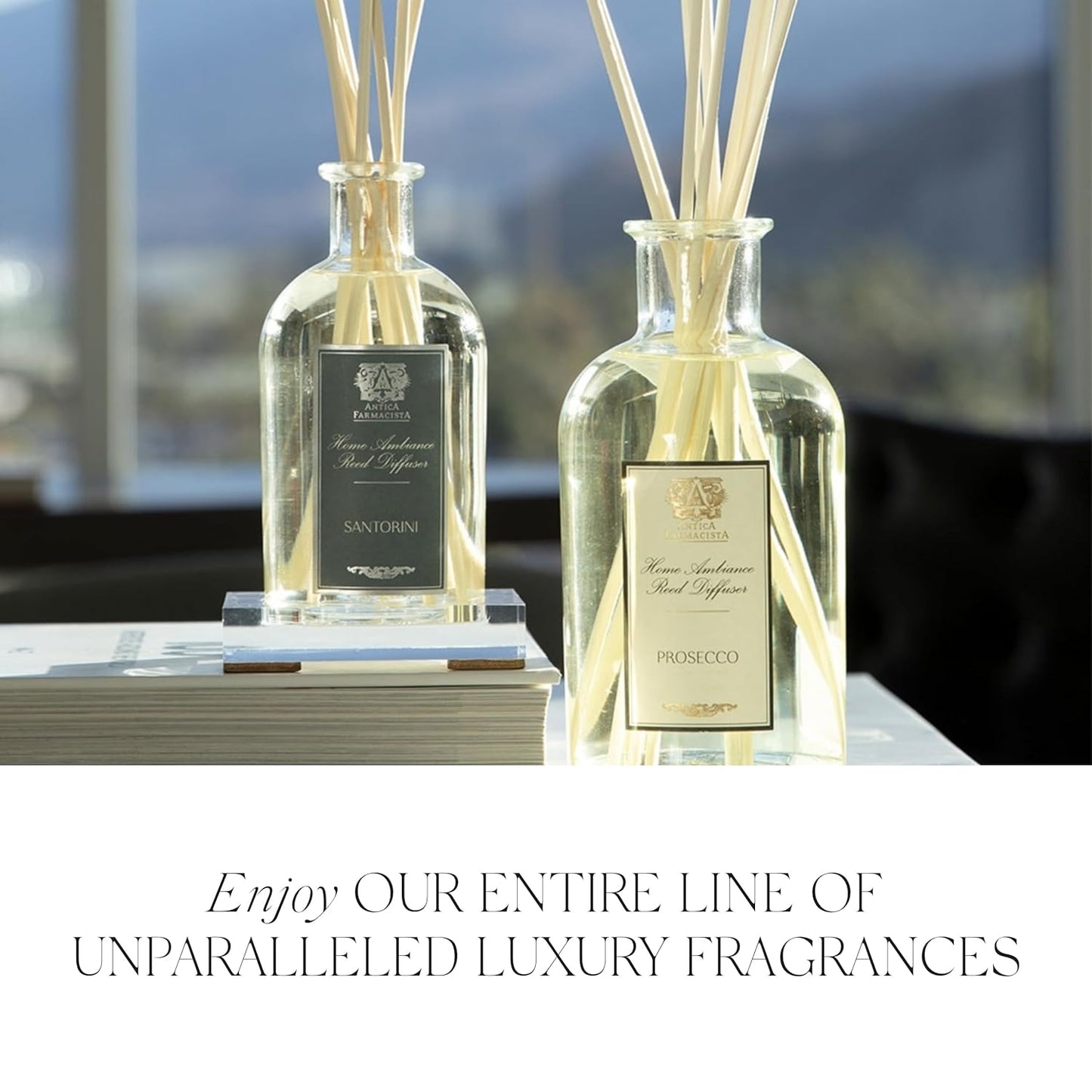 Antica Farmacista Hand & Body Wash - Luxury Nourishing Body Wash - Hydrating Hand Cleansing Wash - Bath & Body Gift - Desert Sage, 10 fl oz