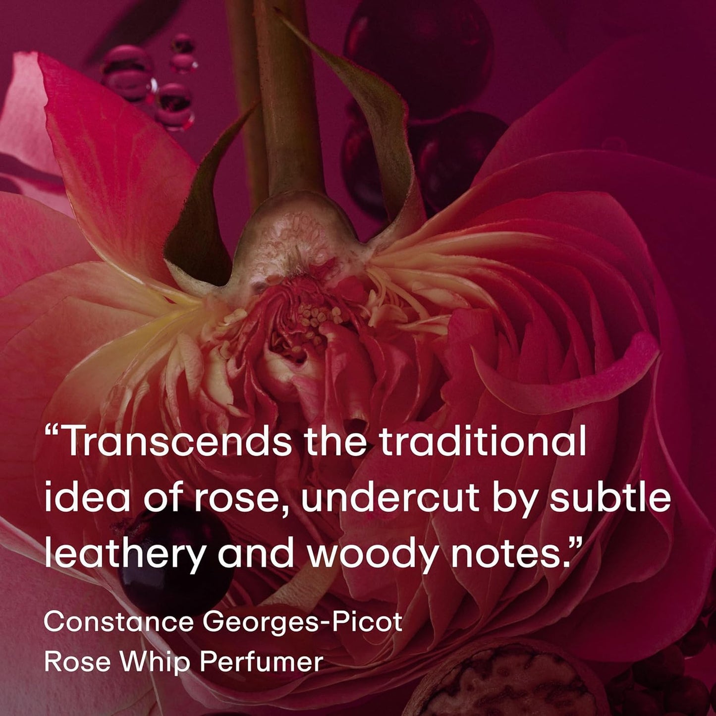 PHLUR Rose Whip Eau de Parfum - Full Size Perfume - Fruity Floral Perfume with Rose, Black Currant, Pink Pepper, Nutmeg, Cashmere Wood & Musk (50mL)