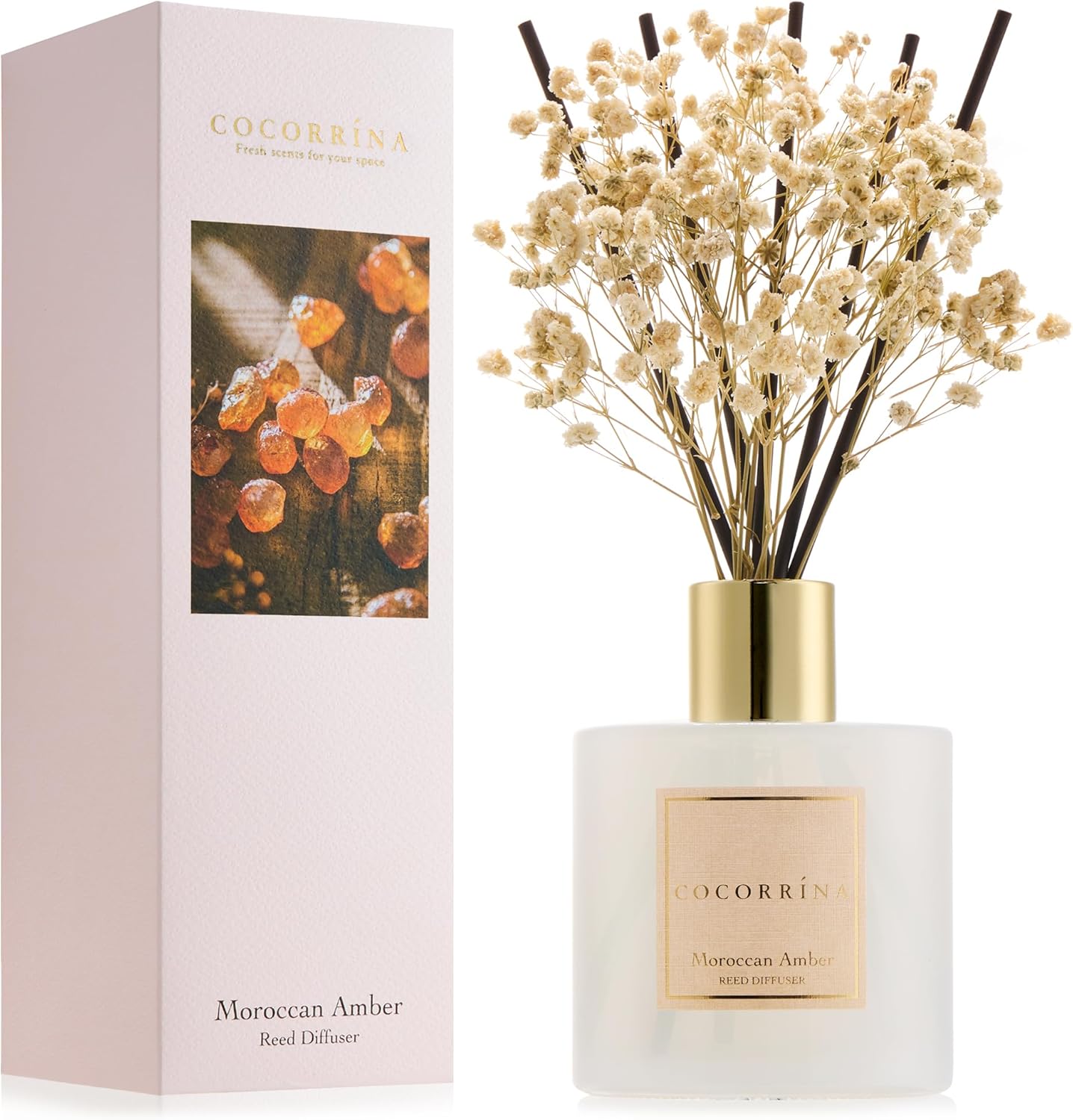 COCORRÍNA Reed Diffuser - Moroccan Amber 6.7 Fl.oz Reed Diffuser Set with Sticks & Preserved Baby's Breath, Reed Diffuser for Home Bathroom Shelf Decor