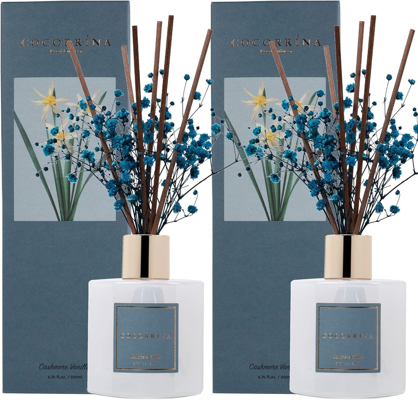 Cocorrína Premium Reed Diffuser Set with Preserved Baby's Breath & Cotton Stick Cashmere Vanilla 2 Packs, 6.7oz Scent Fragrance Oil Diffuser for Bedroom Bathroom Home Décor