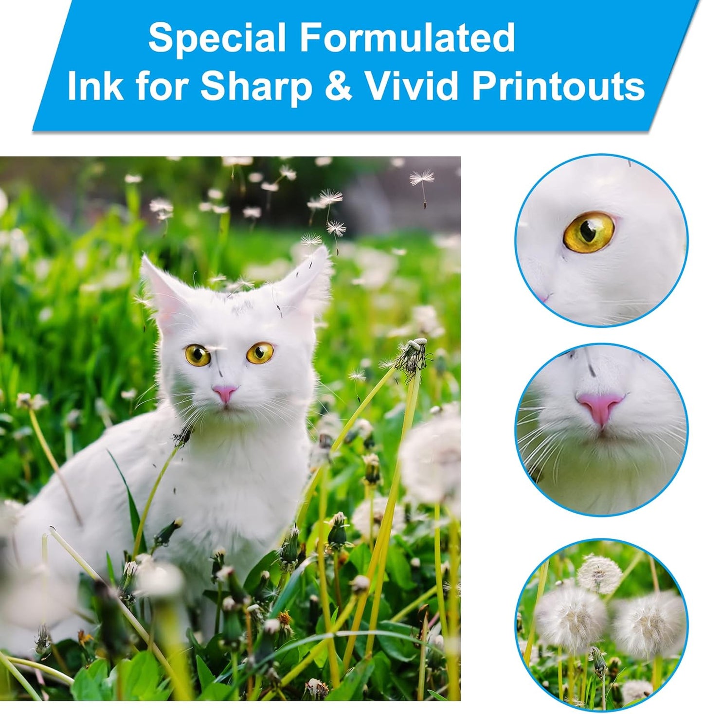 LCL Compatible Ink Refill Bottles Replacement for 502 T502 Ink Compatible with Ecotank ET2760 ET-4760 ET2750 ET-3760 ET-2850 ET-15000 ST-4000 ST-2000 ET-3710 ET-3850 ET-3750 ET-4850 ET-3830 (2KCMY)