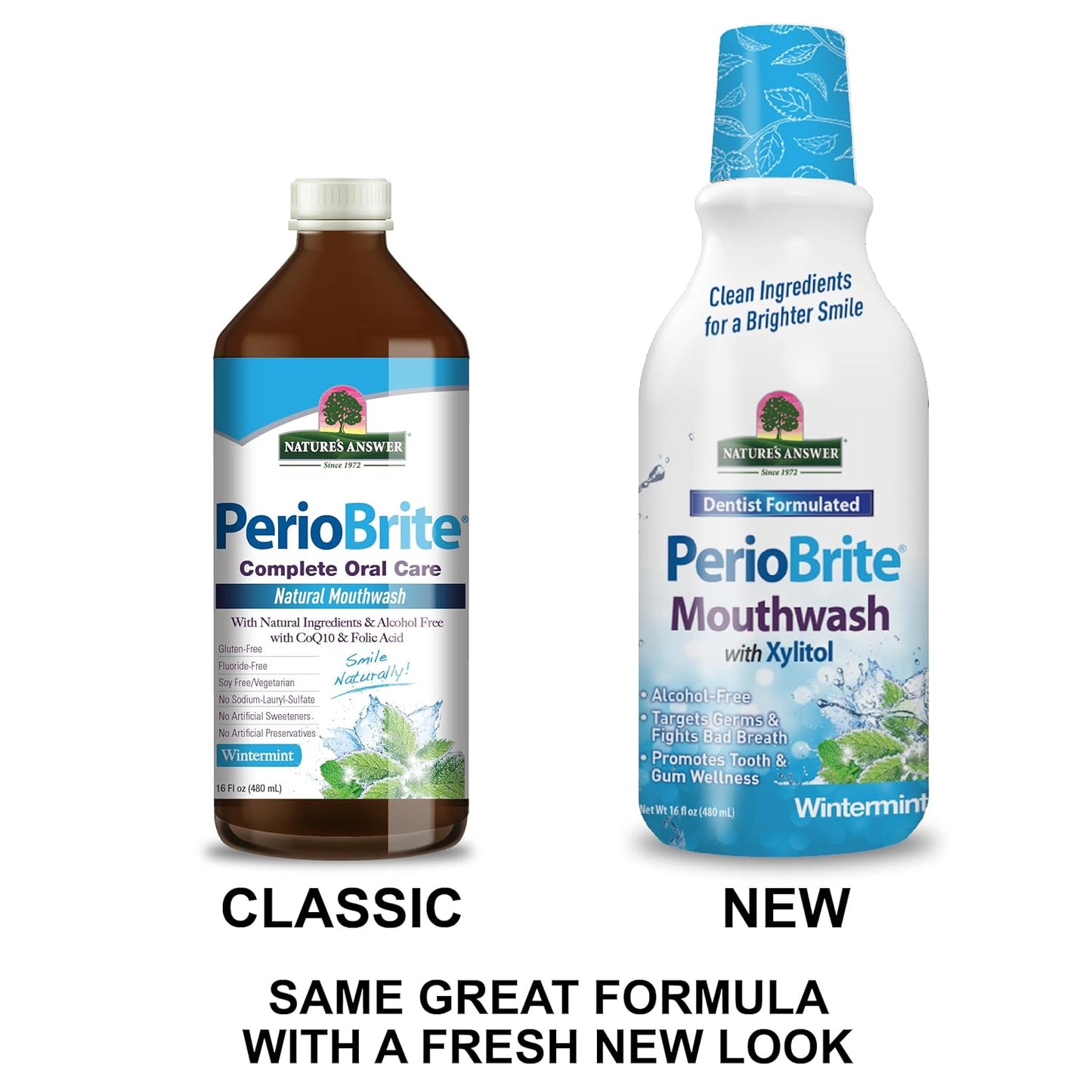 Nature's Answer Periobrite Winter Mint Mouthwash | Promotes Healthy Teeth & Gums| Fights Bad Breath | Fluoride-Free, Alcohol-Free, Gluten-Free & Vegan| No Artificial Preservatives 16oz