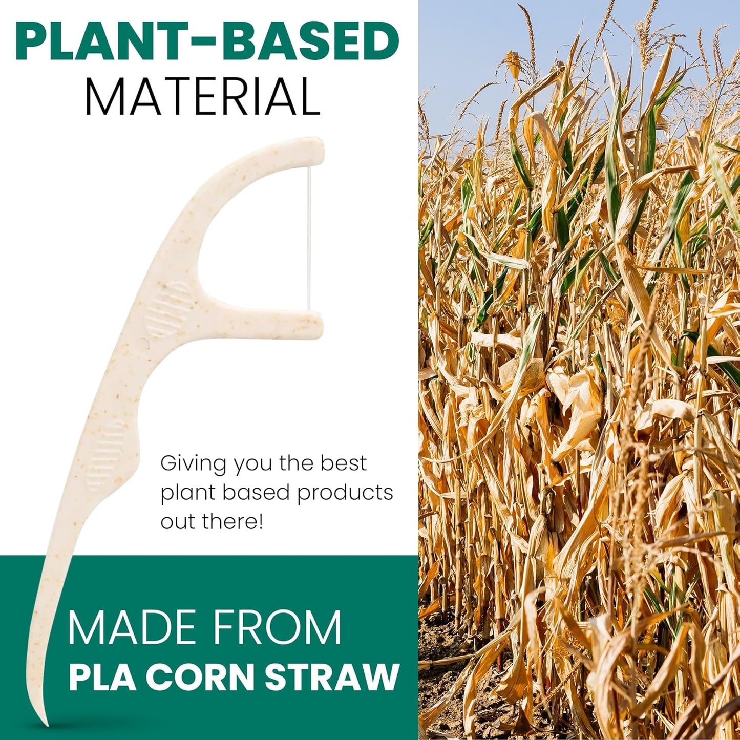 Biodegradable Dental Floss Picks for Teeth, 200 Count, Corn Straw Floss Picks, PFAS Free. Unflavored Flossers, Plant Based, Shred Resistant Floss for Adults & Kids