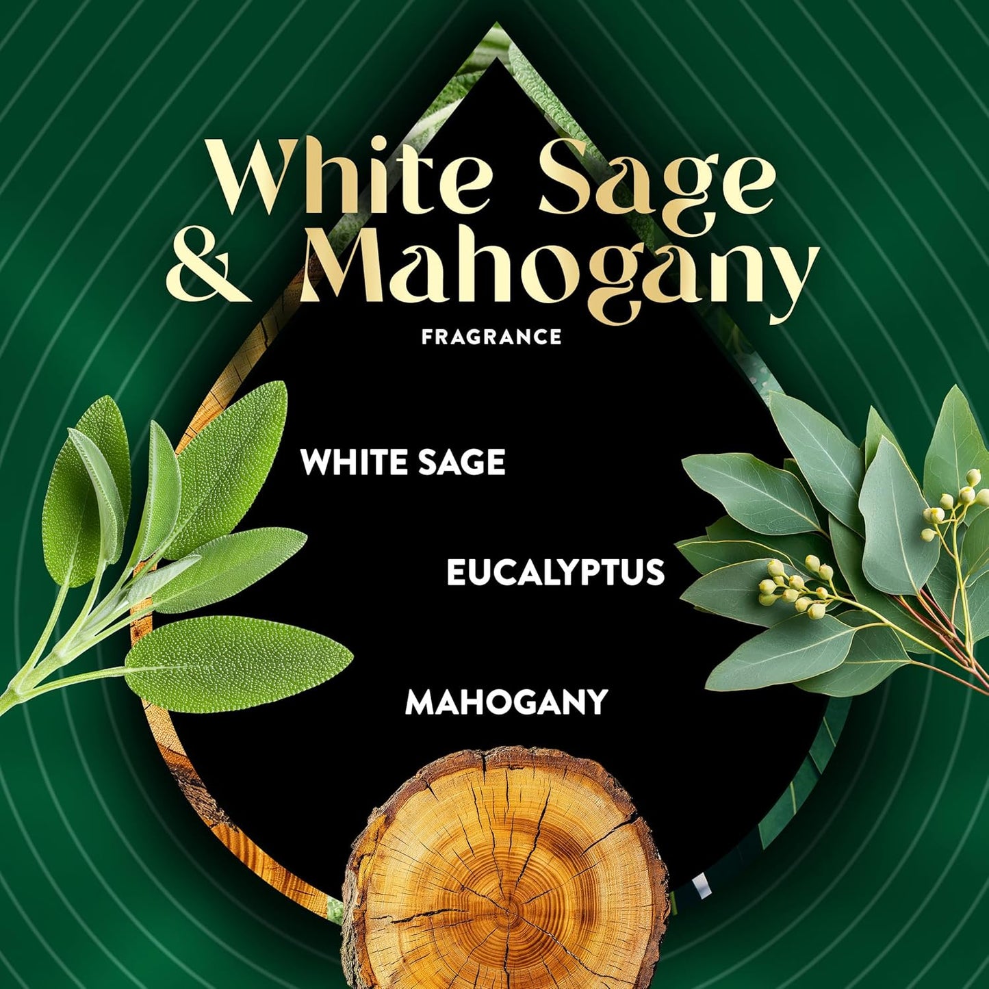 Air Wick Scented Oils 0+5 White Sage & Mahogany