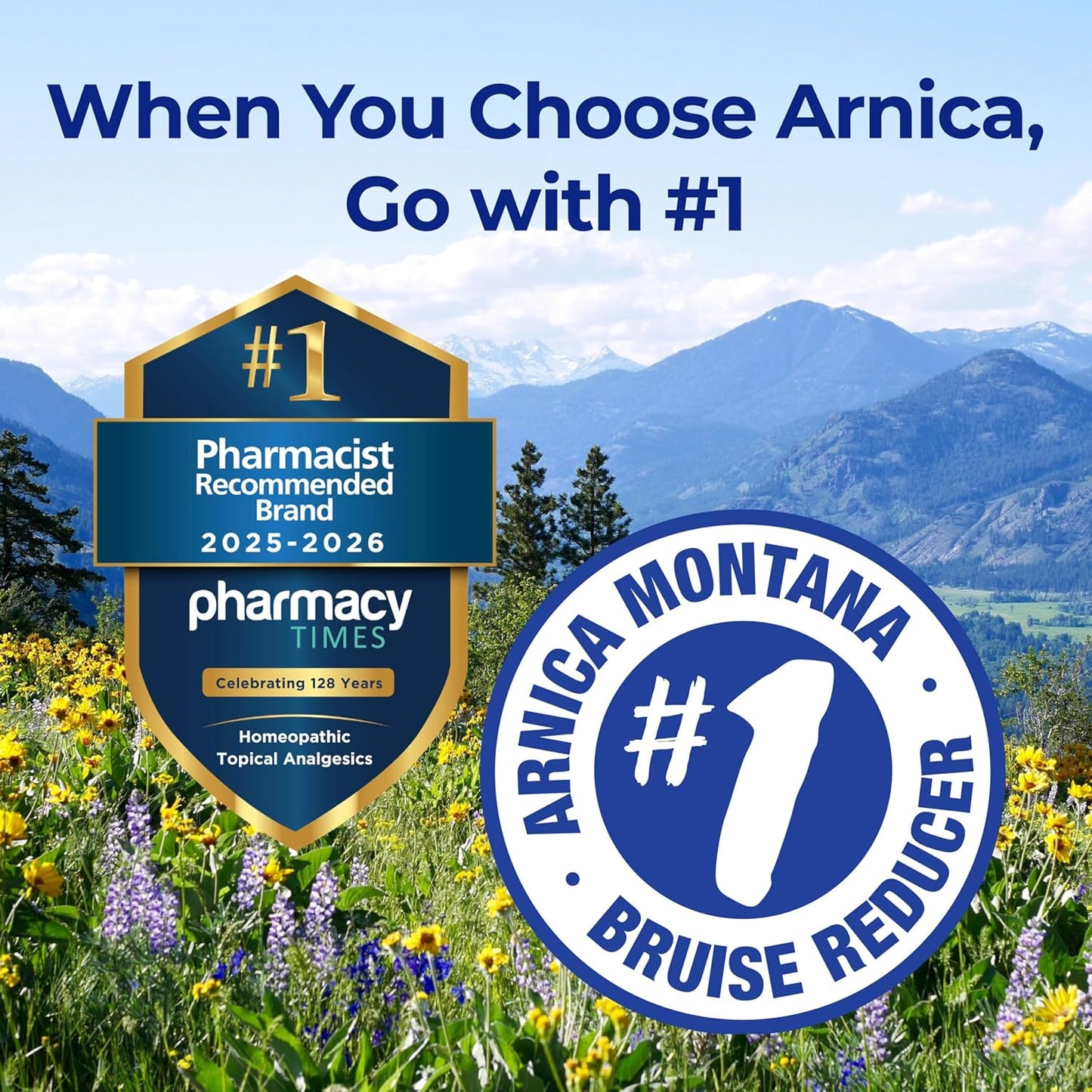 Boiron Arnicare Bruise Gel for Relief of Pain, Inflammation or Swelling, Soreness, and Discoloration - Non-greasy and Fragrance-Free - 1.5 oz