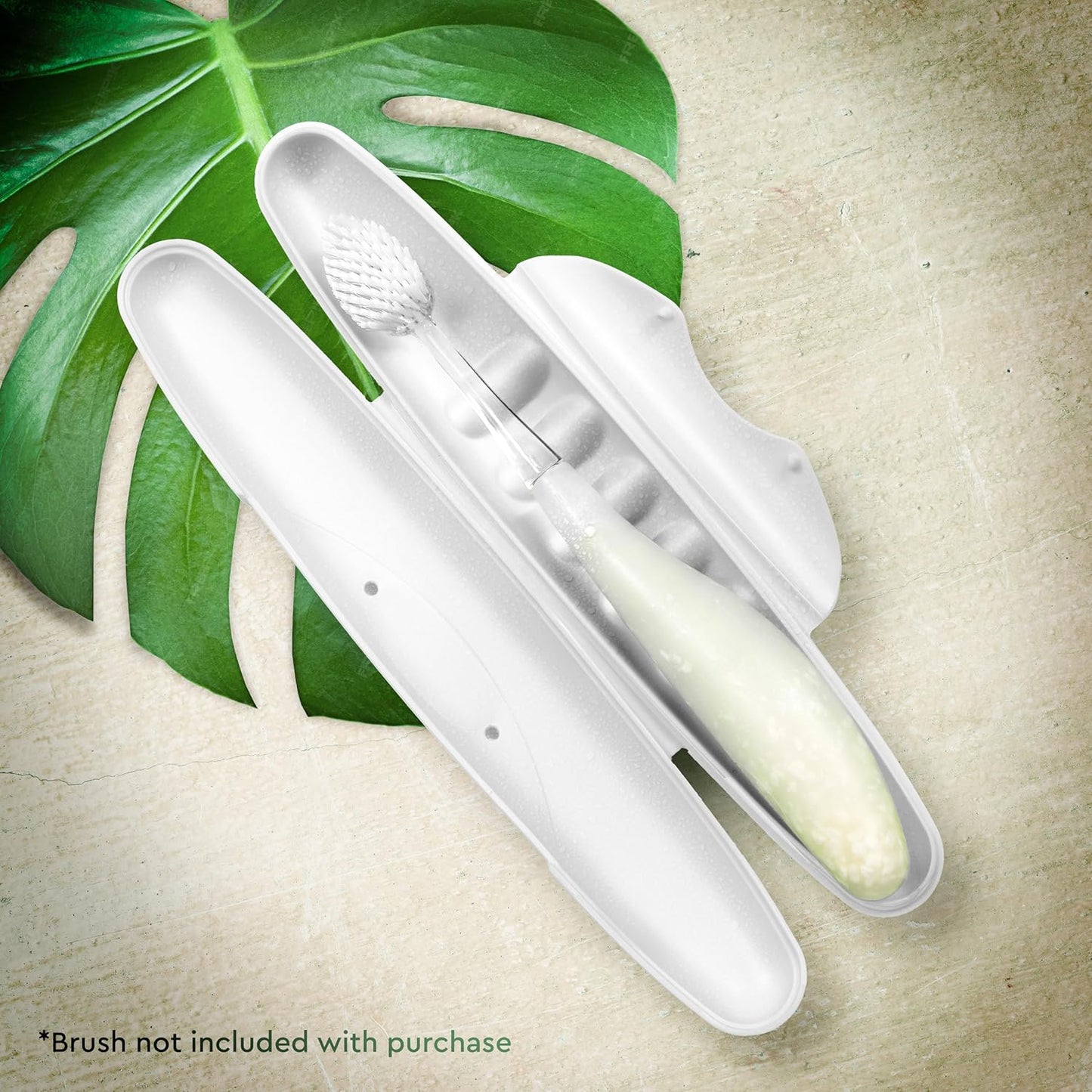 RADIUS Toothbrush Travel Case for Standard Brush, BPA-Free Recycled Plastic, Portable for Bathroom, School, Home, Camping - White (FITS ALL CONVENTIONAL TOOTHBRUSH SOURCE TOOTHBRUSH)