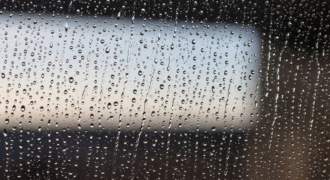 How Water Shapes Mood Beyond Bathing