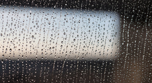 How Water Shapes Mood Beyond Bathing