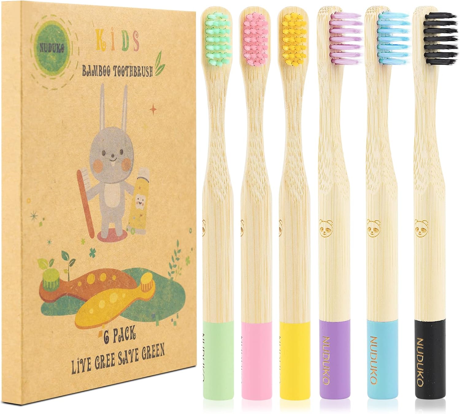 Toothbrushes & Accessories