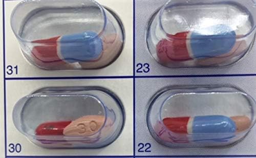 6 Cards 6 Blisters for 31 Day Monthly Cold Seal Pill Storage, Summer Camps, Pharmacists, Cargivers (6)