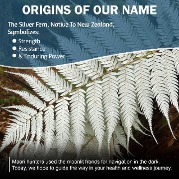 Silver Fern Stress Complex Supplement - with Caffeine - Sleep, Worry, Mood & More - with Saffron Supplements, L-Theanine Supplement, and Myo-inositol - Natural Stress Relief Supplement (Pack o 2)