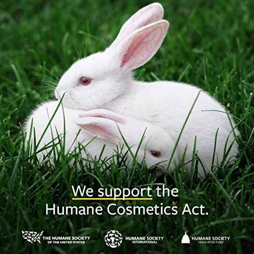 US Organic 100% Pure Cedarwood Essential Oil (Atlas) - USDA Certified Organic, Steam Distilled (More Size Variations Available) (15 ml / .5 fl oz)