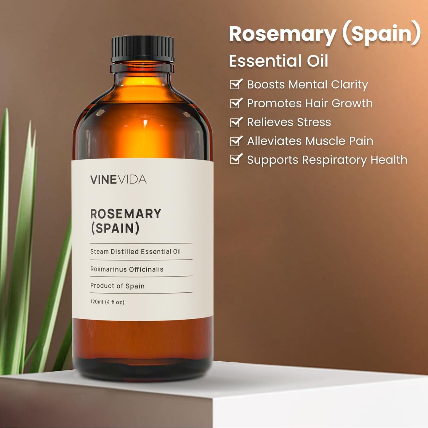 VINEVIDA Rosemary Spain Essential Oil 4 oz - Undiluted, Pure, Vegan, and Sustainable