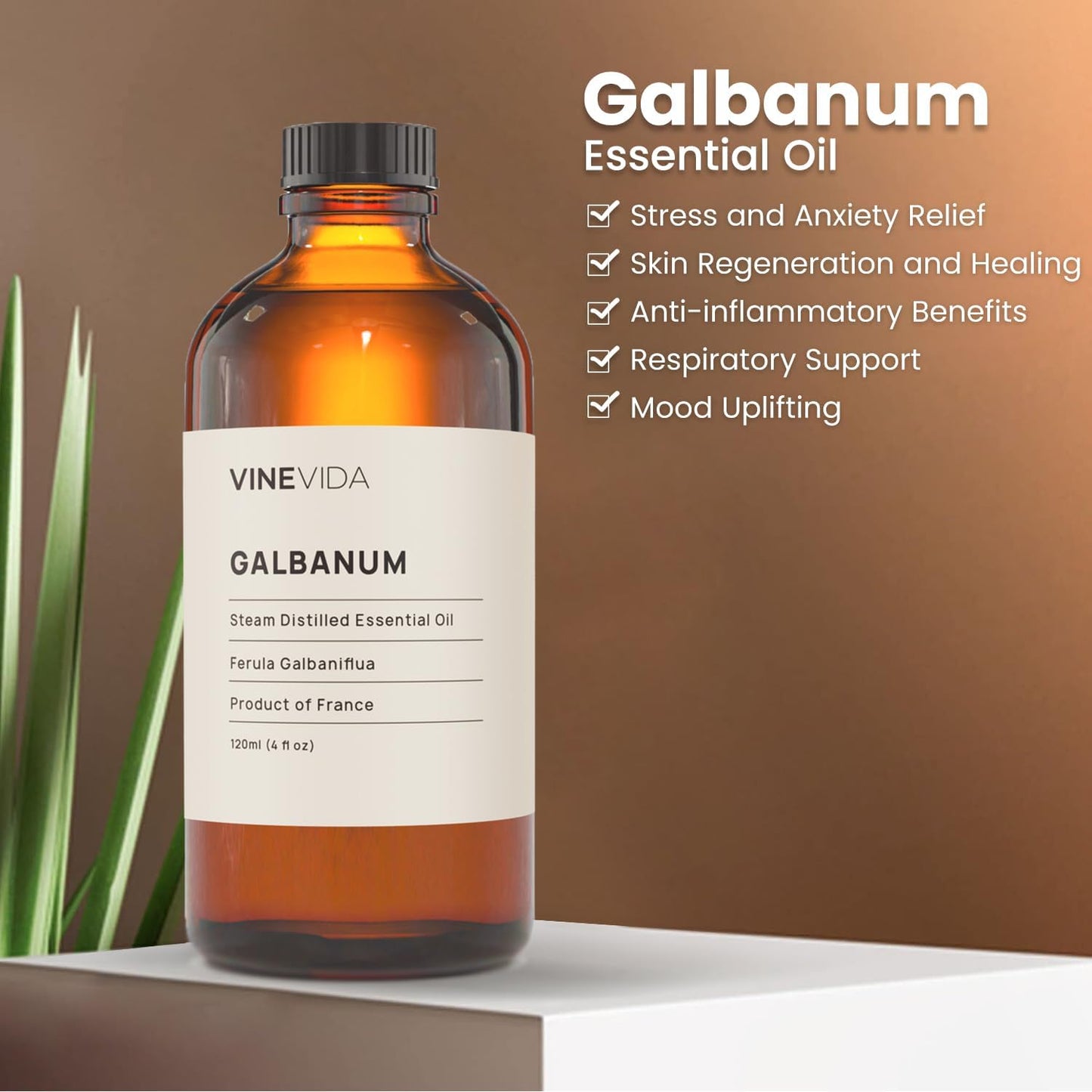 VINEVIDA Galbanum Essential Oil 4 oz - Undiluted - DIY Candle Scents - Bulk for Soap Making