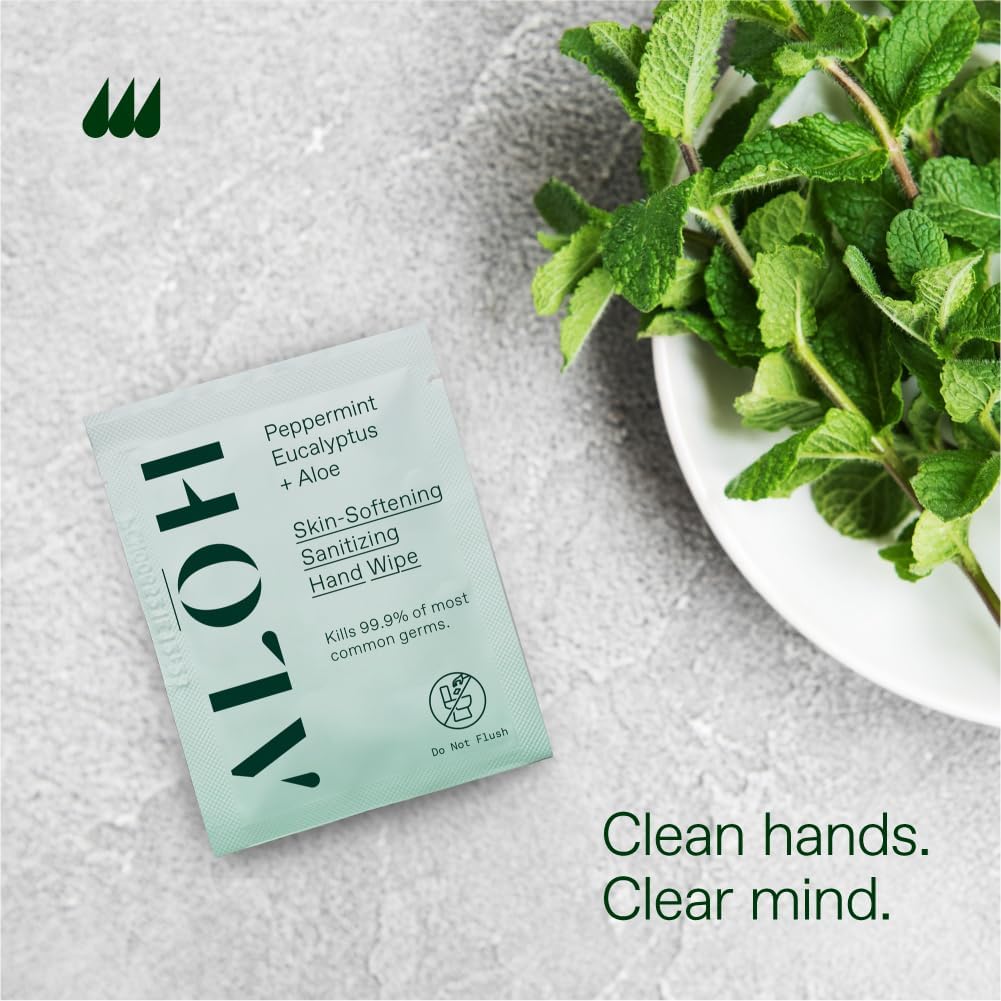 ALŌH Skin - Softening Sanitizing Hand Wipes – Peppermint Eucalyptus + Aloe - 1 Box of 500ct Individually Wrapped Wipes