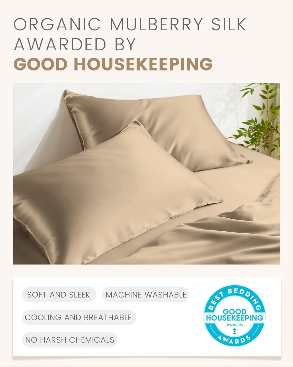 THXSILK Set of 2 100% Mulberry Silk Pillowcase for Hair and Skin, Grade 6A+ Mulberry Silk Pillow Cases Ultra-Soft, Hypoallergenic Pillow Case Cover with Zipper (Queen 20"x30", Taupe)