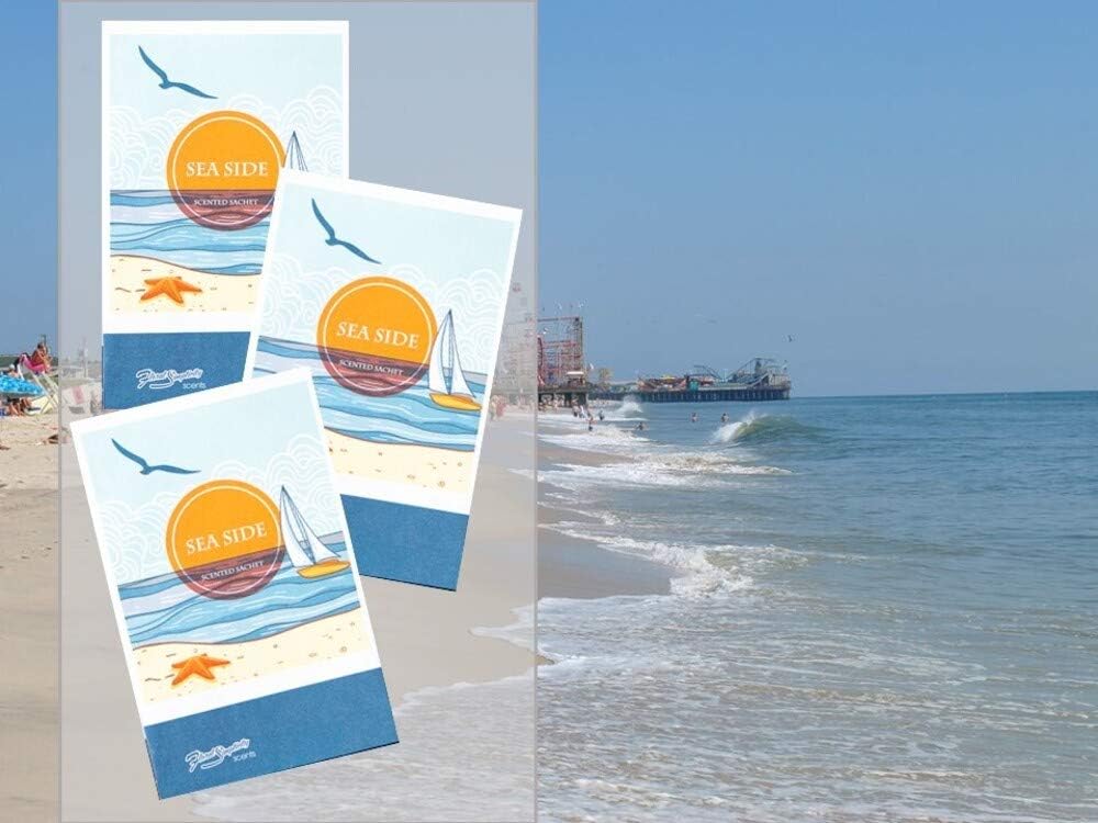 Seaside Scented Sachets Pack of 6, Spring and Summer - Long-Lasting Scented Bags, Home Fragrance, Air Freshener & Deodorizer for Closet, Room, Drawer, or Cars, Made in USA