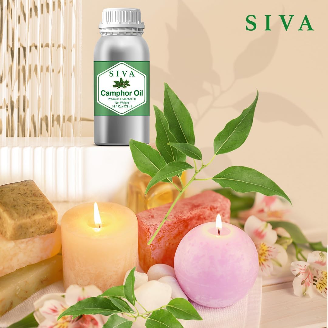 Siva Camphor Essential Oil - 16 Fl Oz – Natural Camphor Oil - for Diffuser, Face, Skin Care, Aromatherapy, Hair Care, Scalp and Body Massage