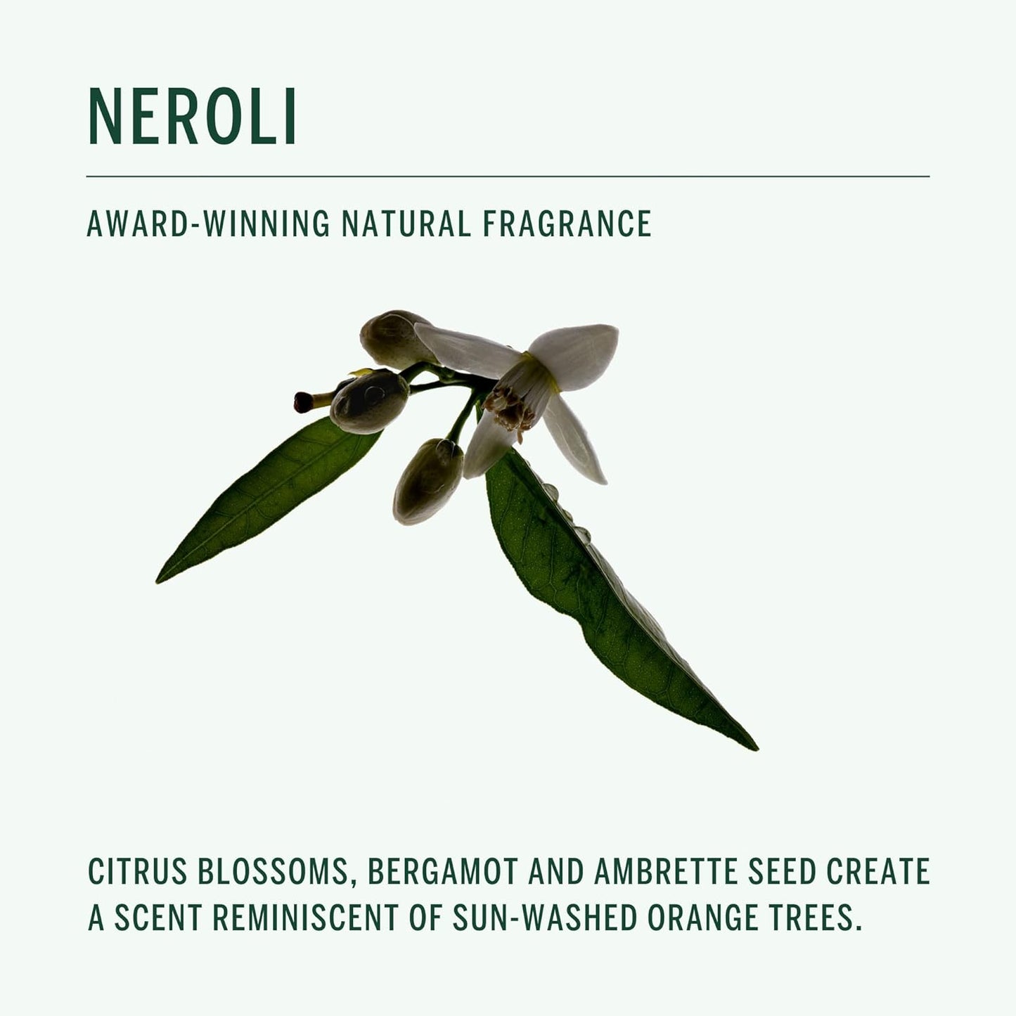 CORPUS - Natural Deodorant Stick For Sensitive Skin | Aluminium + Baking Soda Free | Unisex, Non-Toxic, Made In The USA (Neroli)