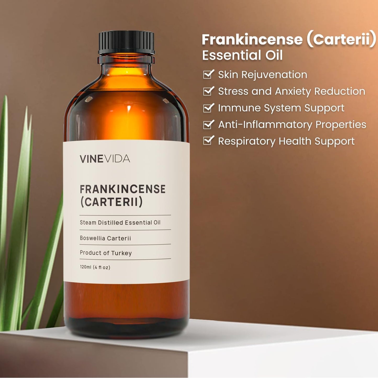 VINEVIDA Frankincense Essential Oil - Undiluted, 10 mL - DIY Candle Scents, Safe for Soap Making