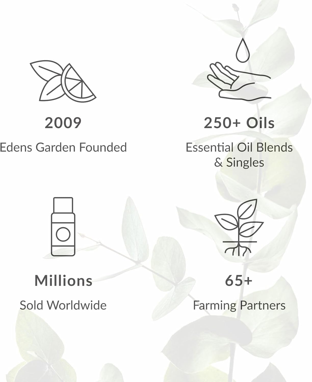 Edens Garden Magnolia Essential Oil Blend – 100% Pure Therapeutic Grade Aromatherapy, Toxin-Free, Clean & Natural, Best for Diffuser & Skin, Floral Scented Candles & Soap Making 10 ml (.33 fl oz)